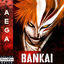 Cover BANKAI