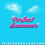 Cover Perfect Summer