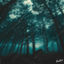 Cover Jericho