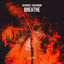 Cover Breathe