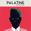 Cover Grand Paon de Nuit