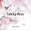 Cover Bridgerton Theme (Piano Version)