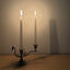 Cover Diary of a Candle
