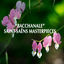 Cover "Bacchanale" - Saint-Saëns Masterpieces