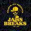 Cover Jams & Breaks (1995 - 2025)