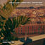 Cover Rooftop Views