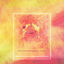 Cover Reflecting Fragments