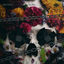 Cover Aura