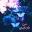 Cover Butterfly