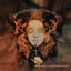 Cover Chronology of a Love-Affair
