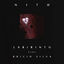 Cover Labirinto