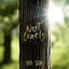 Cover Not Lonely