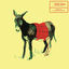 Cover Poncho Express
