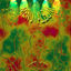 Cover Menu Album