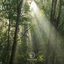 Cover New Lands
