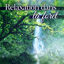 Cover Relaxation dans la forêt - Sons de la nature, Ambiance forestier, Méditation et détente, Musique de fond, Zen attitude