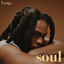 Cover Soul