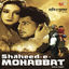 Cover Shaheed-e-Mohabbat