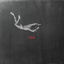 Cover bird