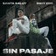 Cover Sin Pasaje
