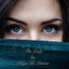 Cover The Lady
