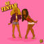Cover Se Tentar