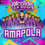 Cover Amapola