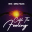 Cover Catch The Feeling