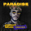 Cover Paradise (Remixes)