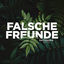 Cover Falsche Freunde