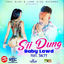 Cover Sii Dung - Single