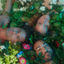 Cover Eden