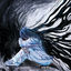 Cover LES OMBRES
