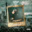 Cover Flawless 2.0