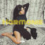 Cover Harmonie