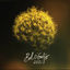 Cover Le poids de le terre
