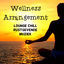 Cover Wellness Arrangement - Lounge Chillout Rustgevende Muziek voor Psychotherapie en Meditatie Oefeningen
