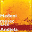 Cover Lice Andjela