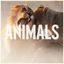 Cover Animals