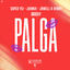 Cover Palga