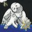 Cover Magnolia Electric Co. (Deluxe Edition)