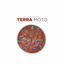Cover Terra Moto