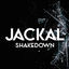 Cover Shakedown