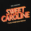 Cover Sweet Caroline (Two Friends Remix)