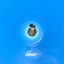 Cover bleue.