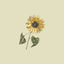 Cover Sunflower