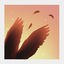 Cover Wings