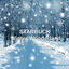Cover Winter Wonderland