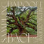 Cover Sampling Baroque Bach