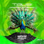 Cover Tausi